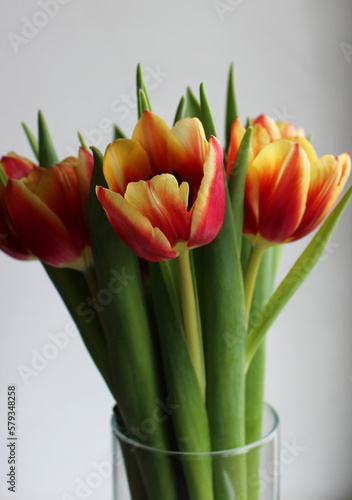 Red Yellow Tulips In A Bunch In A Round Vase Vertical Stock Photo 