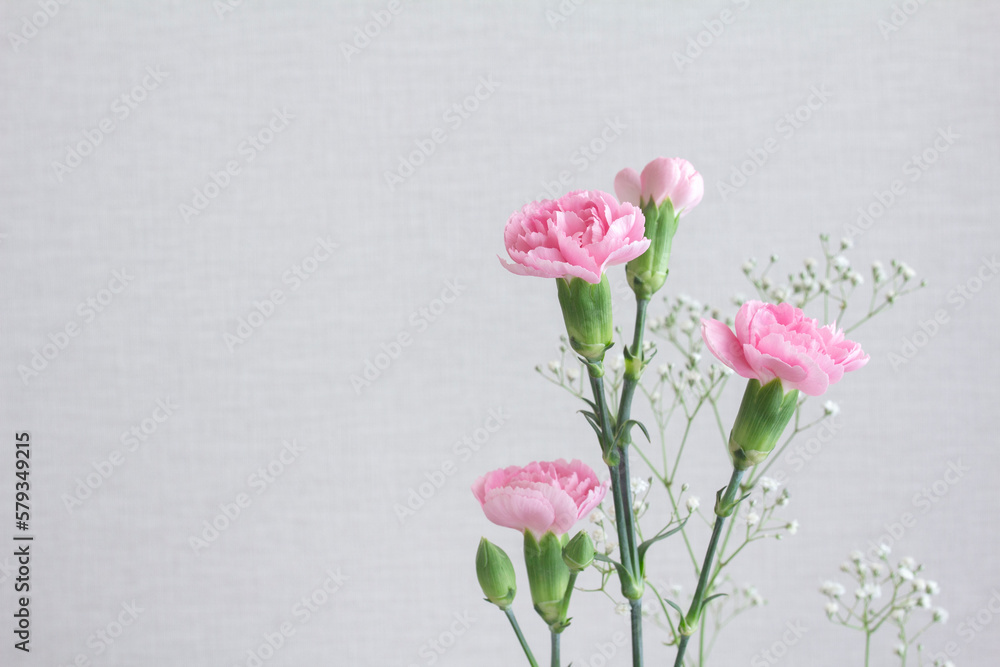 Pink carnations and white baby's breath with gray background and copy space Pink carnations and white baby's breath with gray background and copy space