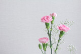 Pink carnations and white hazel with gray background and copy space