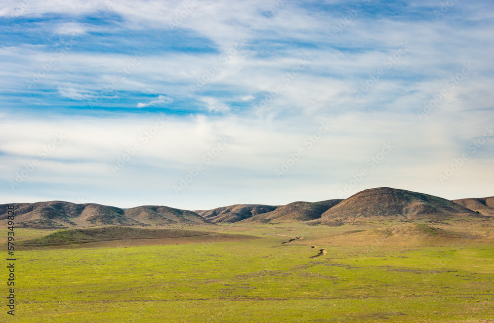 Fototapeta premium The Rolling Hills of Carrizo Plain National Monument