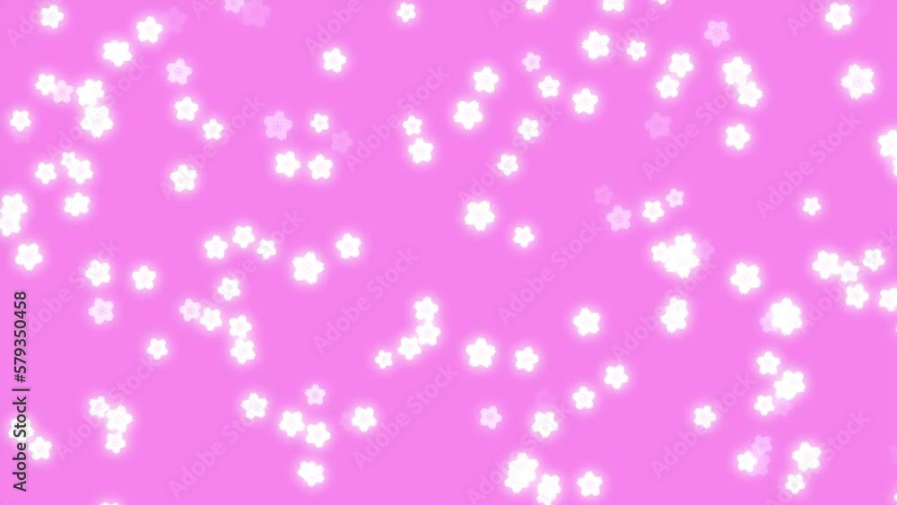 cherry blossom loop background material cherry blossom loop background material