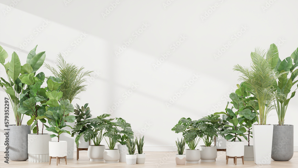 Plants against a white wall mockup. white wall mockup with wooden floor, plant and. 3d render Plants against a white wall mockup. white wall mockup with wooden floor, plant and. 3d render