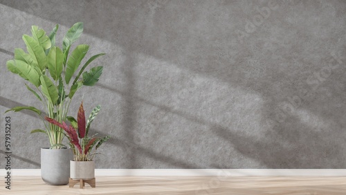 Plants against a grey concrete wall mockup. grey concrete wall mockup with wooden floor, plant and. 3d render