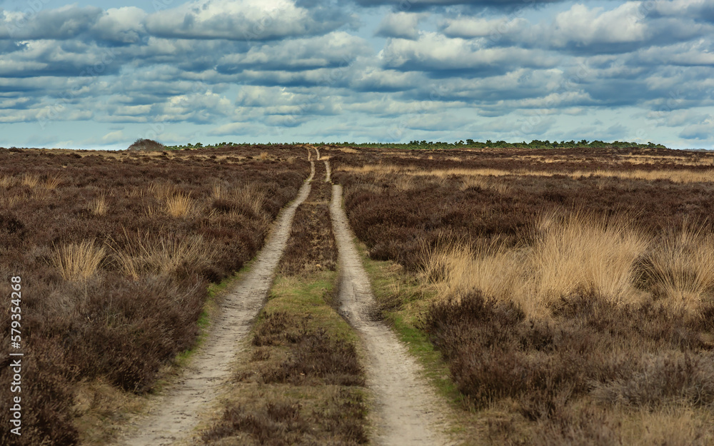 Dirt road in heath landscape under cloudy sky. Dirt road in heath landscape under cloudy sky.