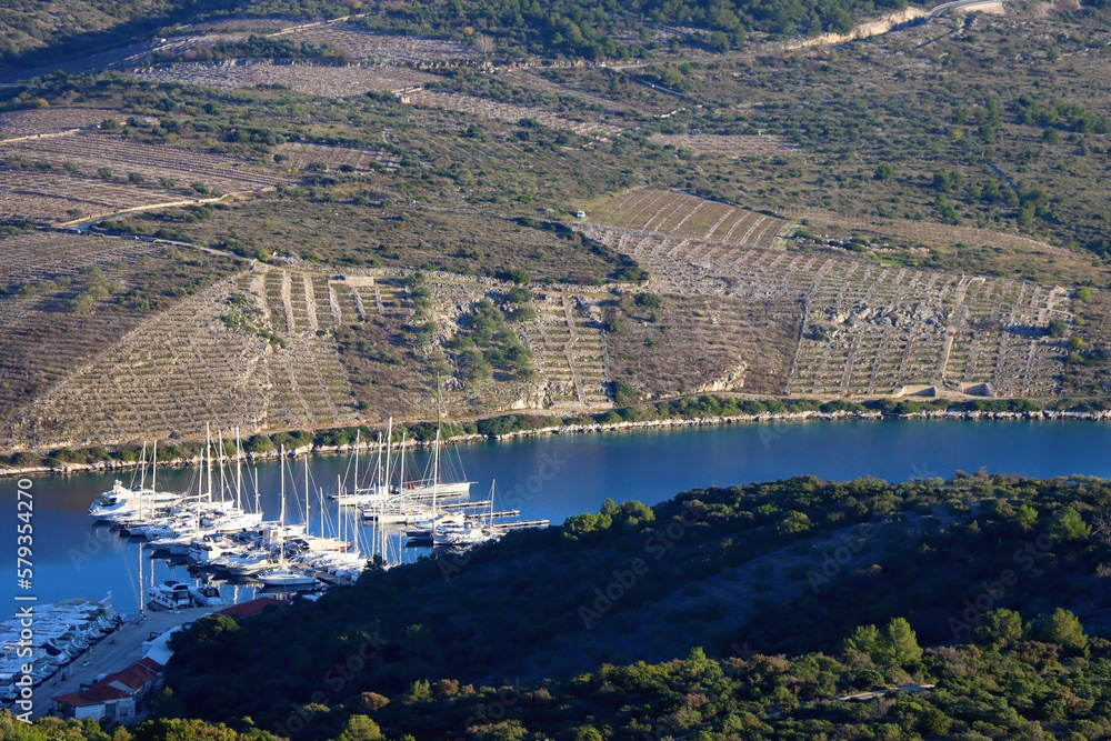 Traditional vineyards on the hill and boats in the pier. Landmark in Primosten, Croatia.