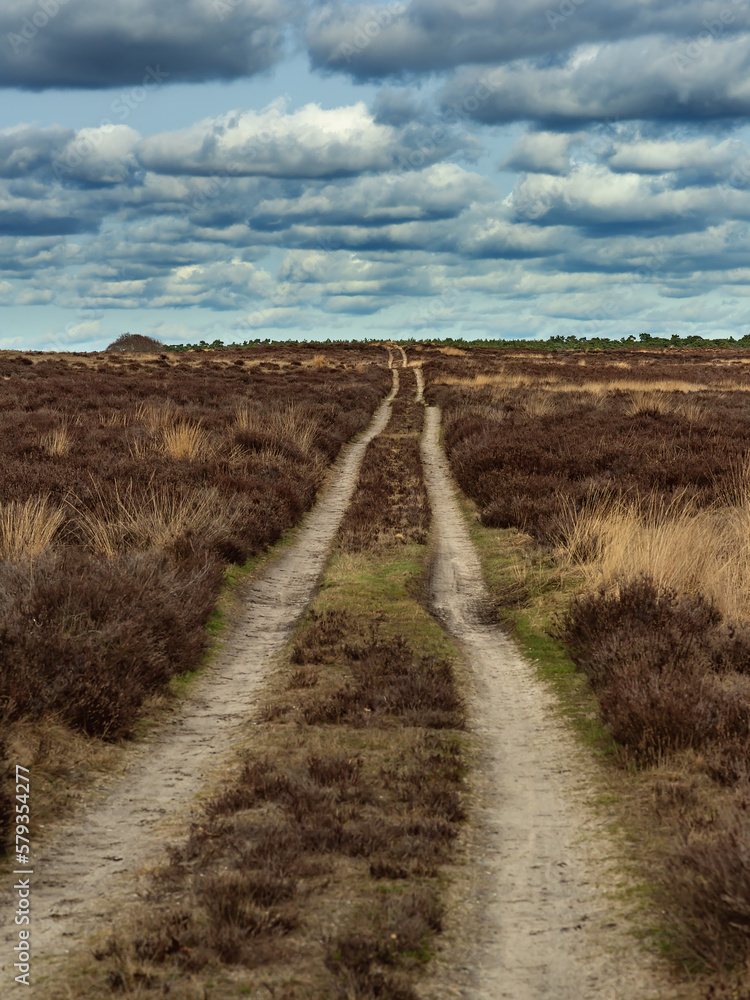 Dirt road in heath landscape under cloudy sky. Dirt road in heath landscape under cloudy sky.