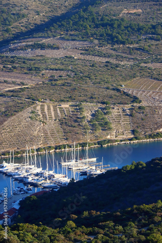 Traditional vineyards on the hill and boats in the pier. Landmark in Primosten, Croatia. © jelena990