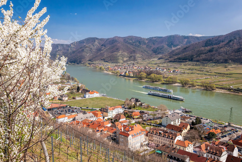 Canvas Print Spitz village with ships on Danube river in Wachau valley (UNESCO) during spring