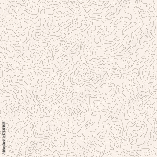 Topographic map seamless pattern background, topography line map. Abstract topography curves vector illustration