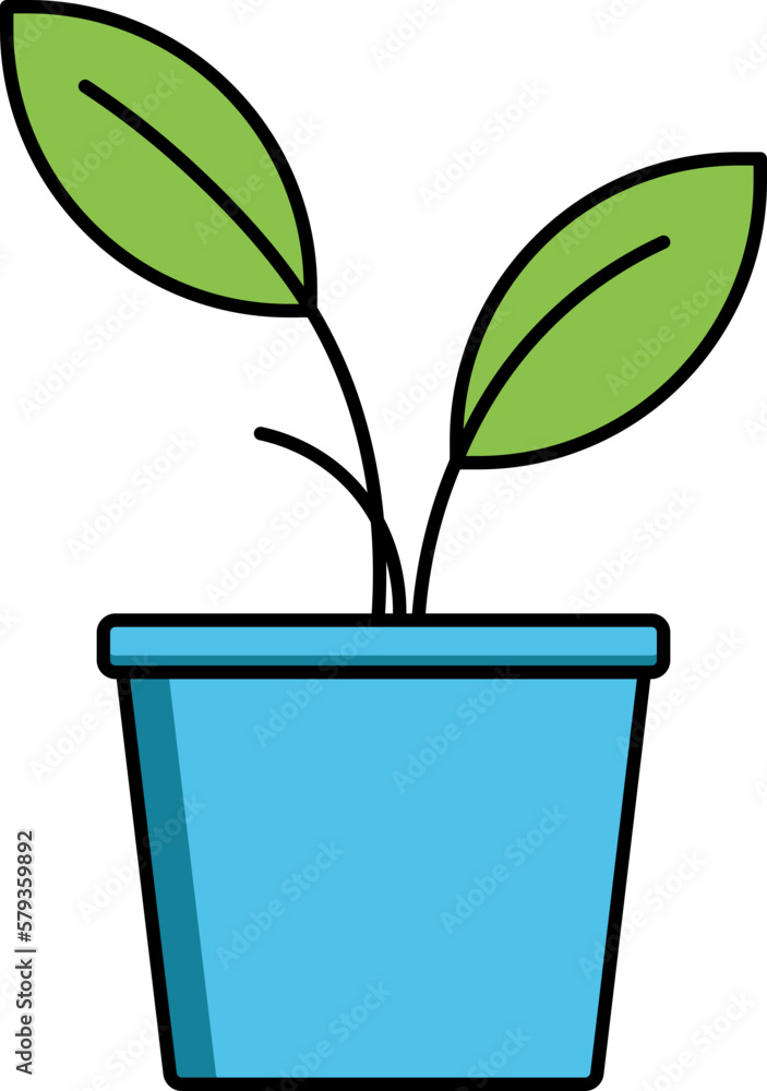 plant in a pot plant in a pot