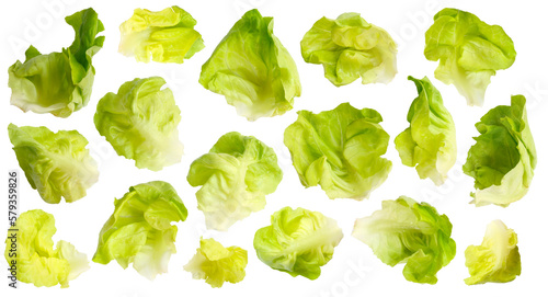 Set of butter head salad leaves isolated transparent png