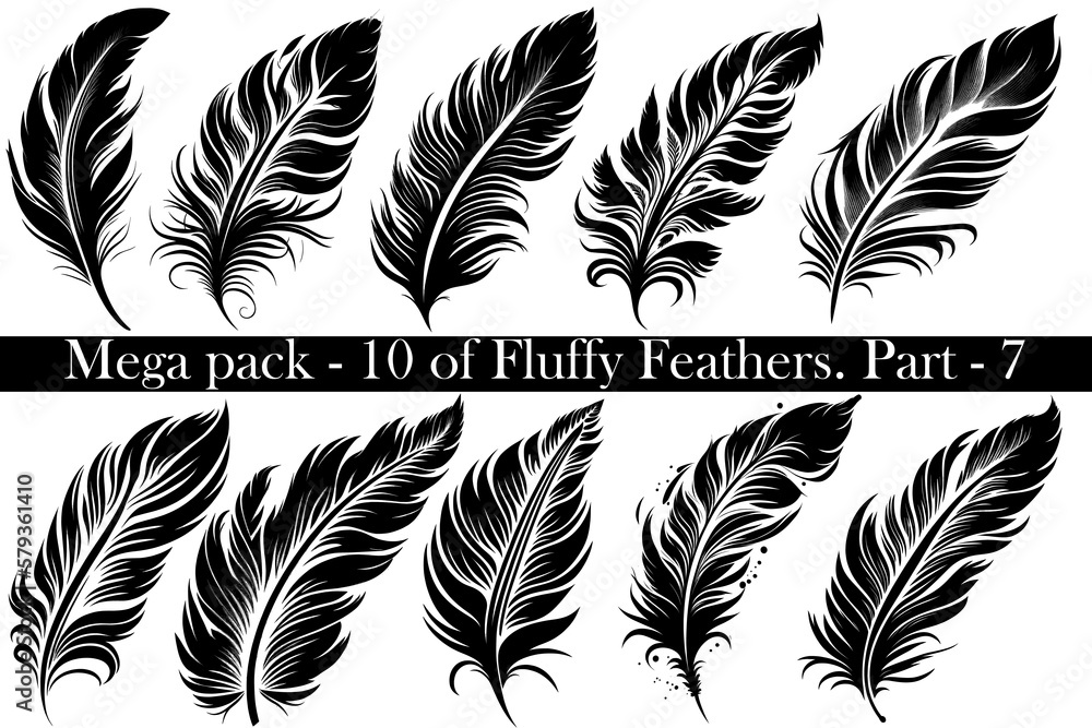 Obraz premium Mega-set pack of 10 vector black Fluffy Feather Silhouette Icon, Set Isolated. Bird Feathers for Logo. White background