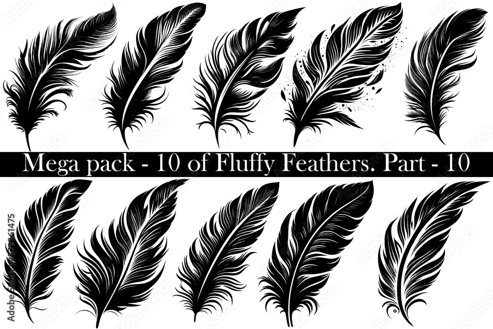 Mega-set pack of  10 vector black Fluffy Feather Silhouette Icon, Set Isolated. Bird Feathers for Logo. White background