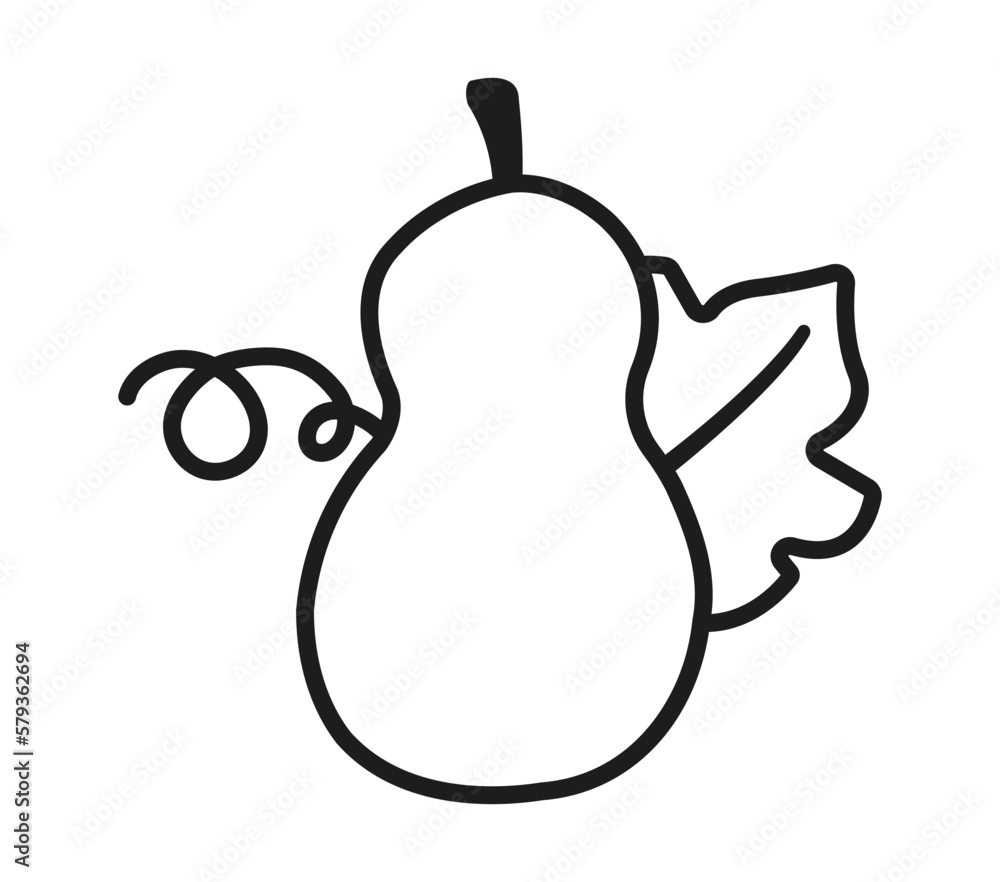 Contour illustration of pumpkin squash with leaves for Halloween or Thanksgiving. Can be used for kids coloring pages. Autumn clipart. Isolated vector and PNG on transparent background. Contour illustration of pumpkin squash with leaves for Halloween or Thanksgiving. Can be used for kids coloring pages. Autumn clipart. Isolated vector and PNG on transparent background.