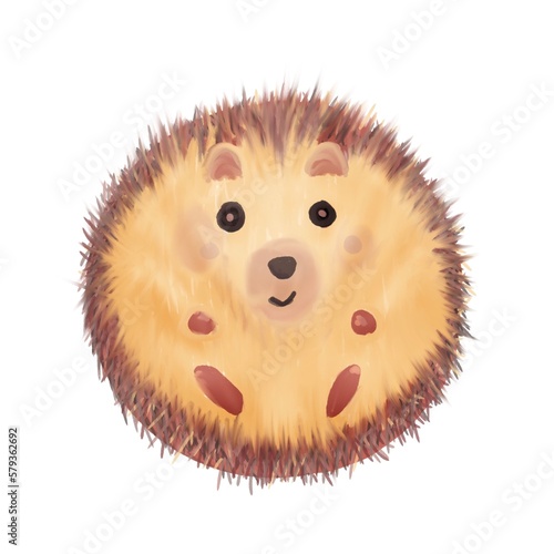 Hand-drawn cartoon hedgehog on white background, digital art painting.