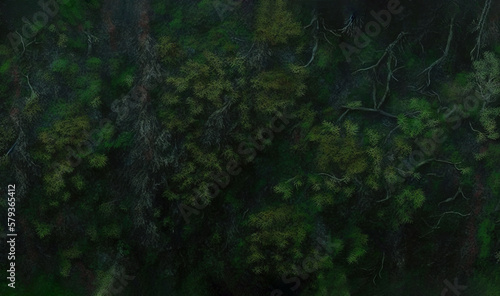  an aerial view of a forest with lots of green trees.  generative ai