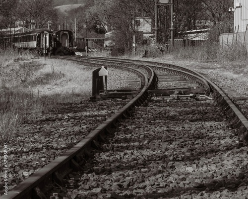 Railway train track in background of old trains in woods