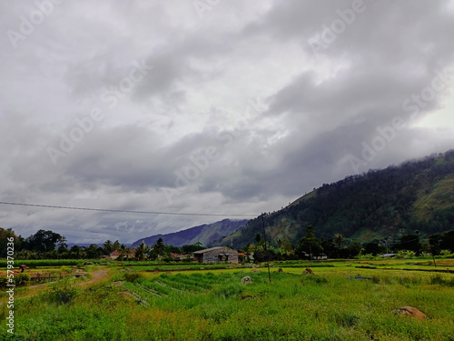 Grasslands and rice fields in the countryside in the caldera valley resulting from the eruption of Mount Toba 74,000 thousand years ago, Indonesia 