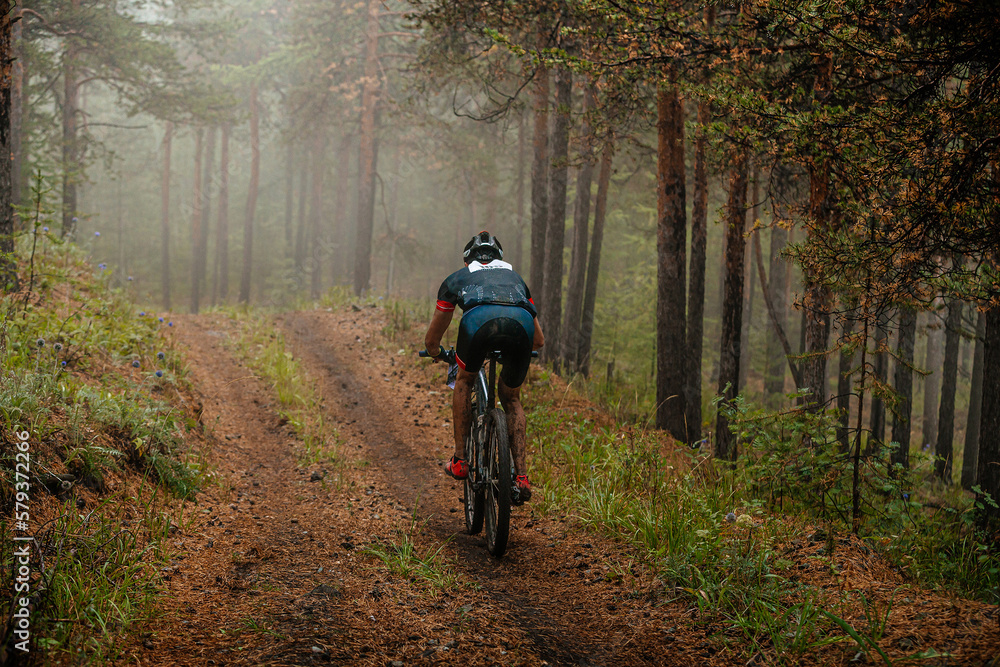 back athlete cyclist riding mountain bike on forest trail. misty and mysterious woodland. cross-country cycling race