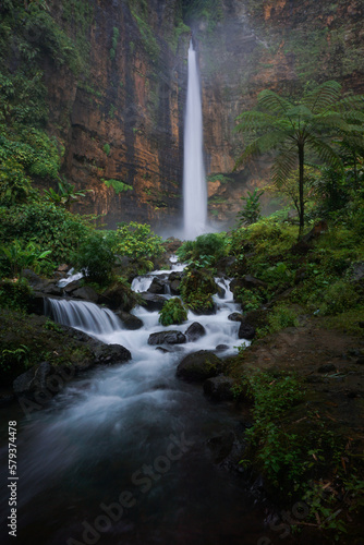 waterfall in the forest