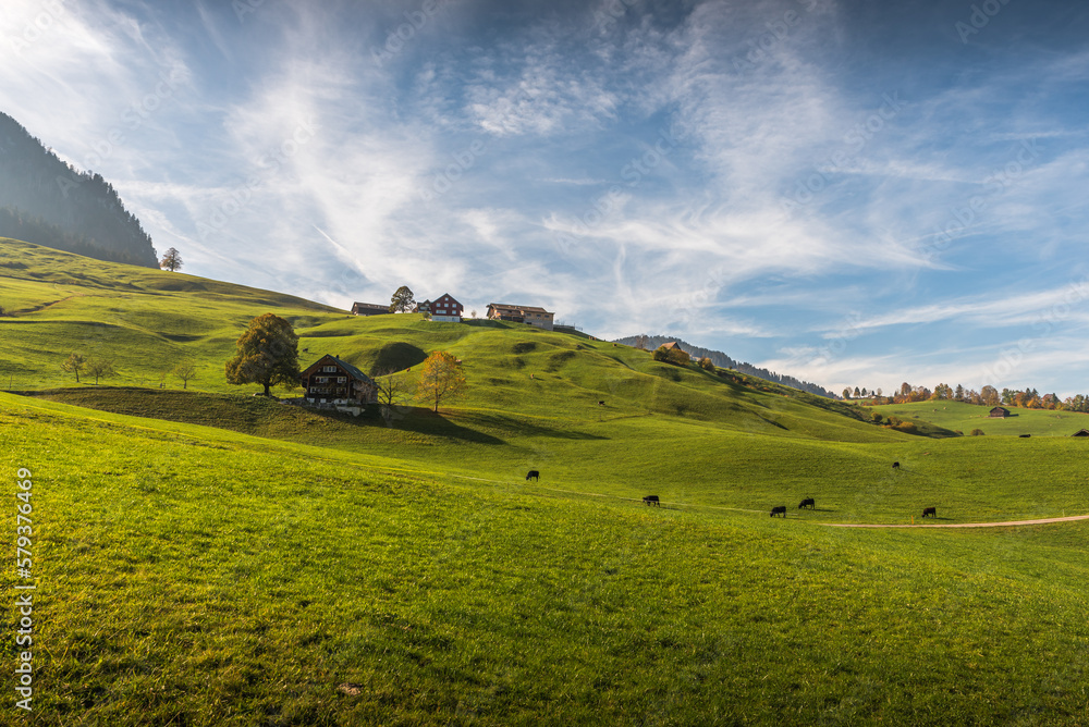 Fototapeta premium Hilly landscape with farm houses, green meadows and pastures in the Toggenburg Valley, Nesslau, Canton St. Gallen, Switzerland