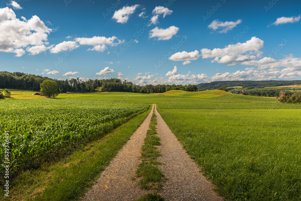 Rural landscape in summer with dirt road and fields, blue sky with white clouds, Canton Thurgau, Switzerland Rural landscape in summer with dirt road and fields, blue sky with white clouds, Canton Thurgau, Switzerland