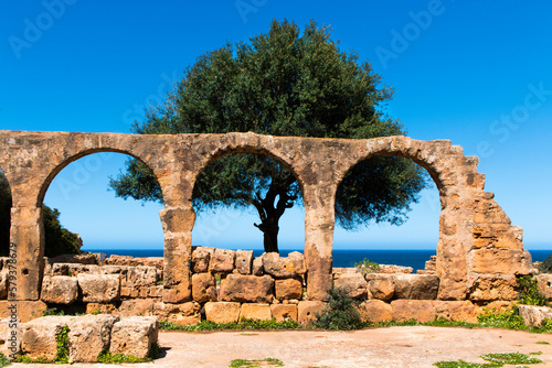 Famous Roman ruin at the city of tipasa, in the heart of ancient Rome in algeria