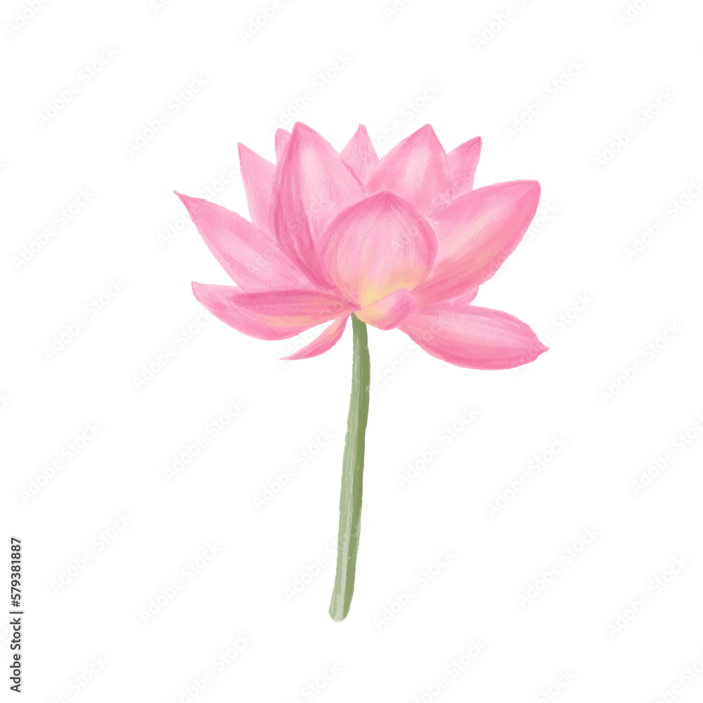 Watercolor pink lotus flower. Logo template. Vector painted decorative element isolated on white background. Design of invitations, yoga, ayurveda, meditation and buddhist culture