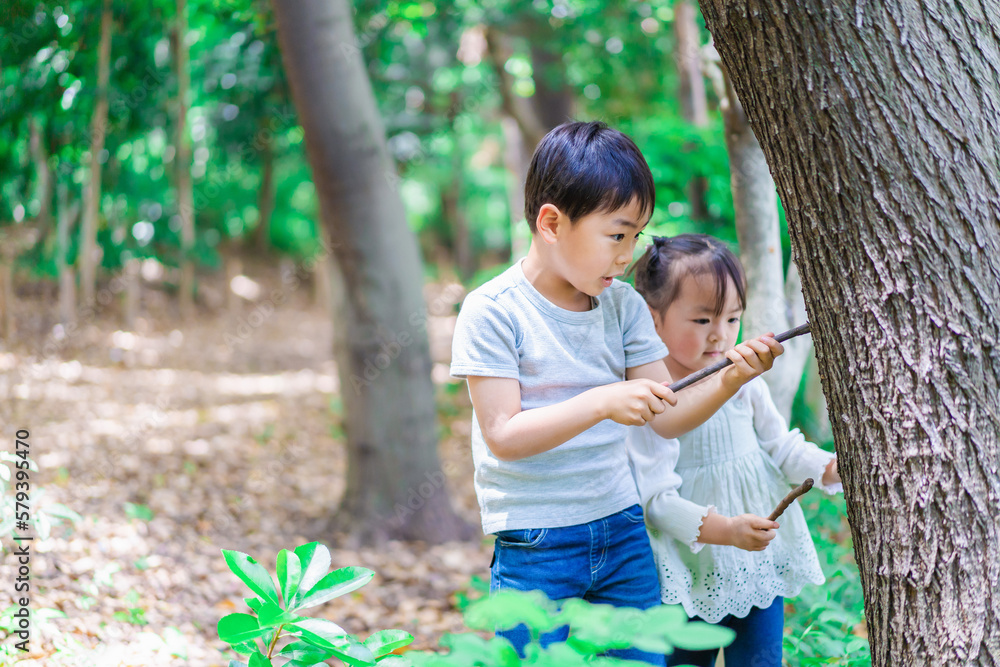森で遊ぶ子どもたち 森で遊ぶ子どもたち