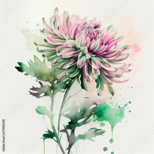 chrysanthemum flowers, branches and leaves, watercolor painting on white paper