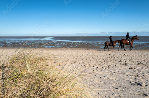 Schillig Strand mit Pferden