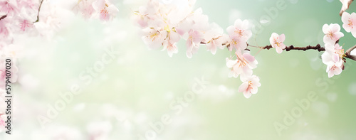 spring flowers in the garden  generative ai spring time banner  blossoms on bright background  season spring design