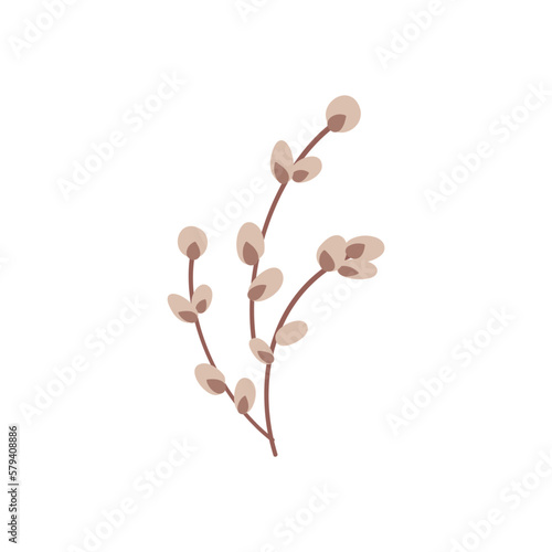 Linear botanical willow twig in doodle style