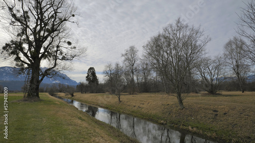 River between bare trees and leaning ladder