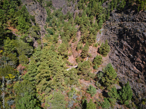 Canary pine forest on the island of Tenerife seen from a drone © Ricardo