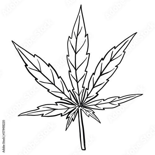 simplicity cannabis leaf freehand drawing flat design. © tanarch