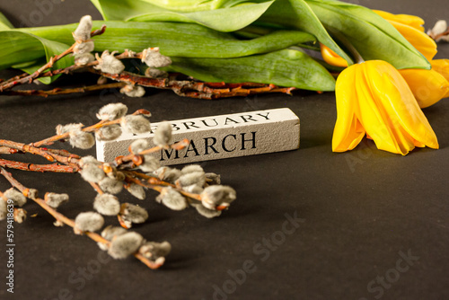The word MARCH  APRIL. Spring concept.  Background for product display. Fresh yellow tulips and a willow branch on dark background close up.
