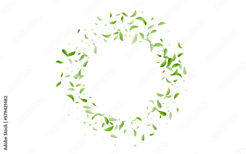 Lime Greens Fresh Vector White Background Design. Lime Greens Fresh Vector White Background Design.