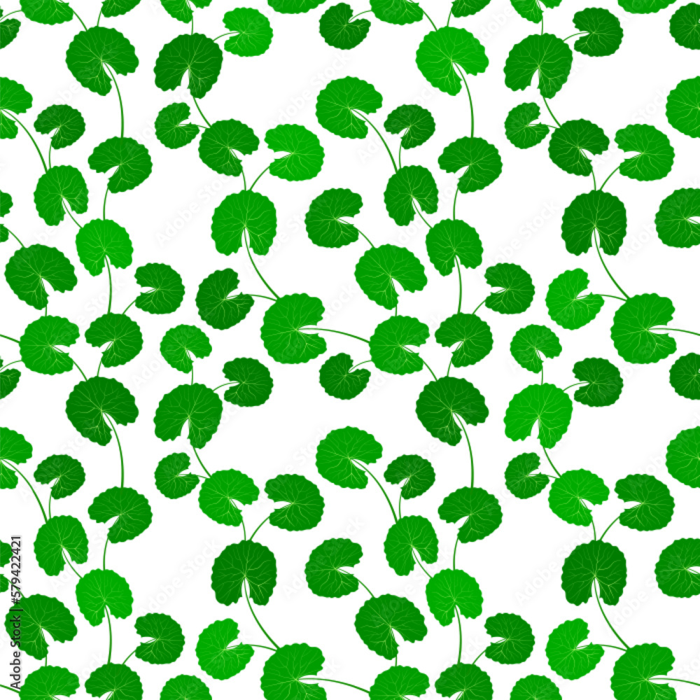 Centella asiatica seamless pattern vector illustration. Gotu kola repeated texture. Fresh green leaf for organic cosmetics, natural products, food, medicine design. Asian pennywort endless background. Centella asiatica seamless pattern vector illustration. Gotu kola repeated texture. Fresh green leaf for organic cosmetics, natural products, food, medicine design. Asian pennywort endless background.