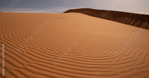 Algerian Sahara