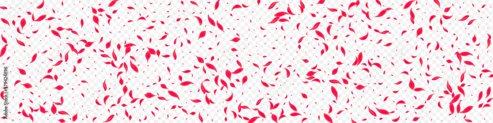 Delicate Sakura Vector Transparent Panoramic