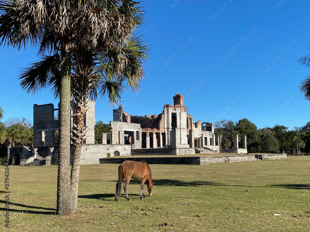 Cumberland Island National Seashore managed by National Park Service