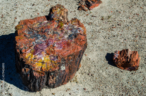 Petrified logs in the Painted desert and Petrified Forest National Park, Arizona, USA.