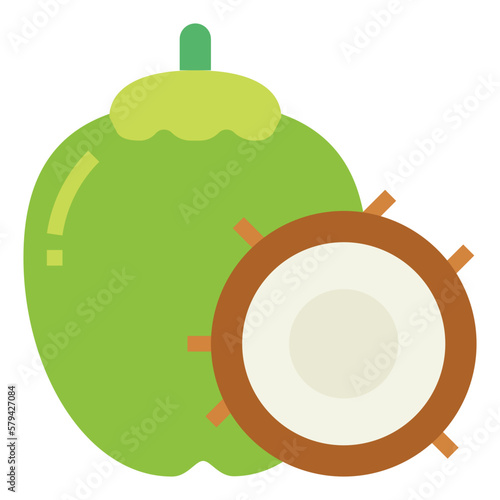 coconut flat icon style