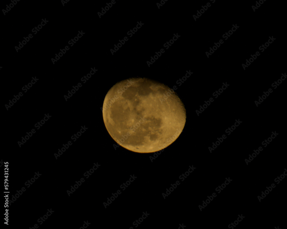 Orange Moon Orange Moon