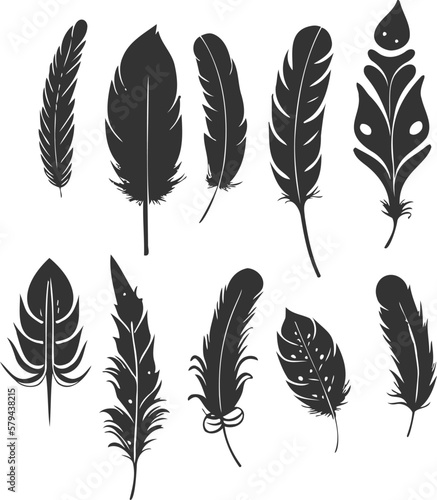 A set of black and white hand-drawn feather illustrations designed on a white background.