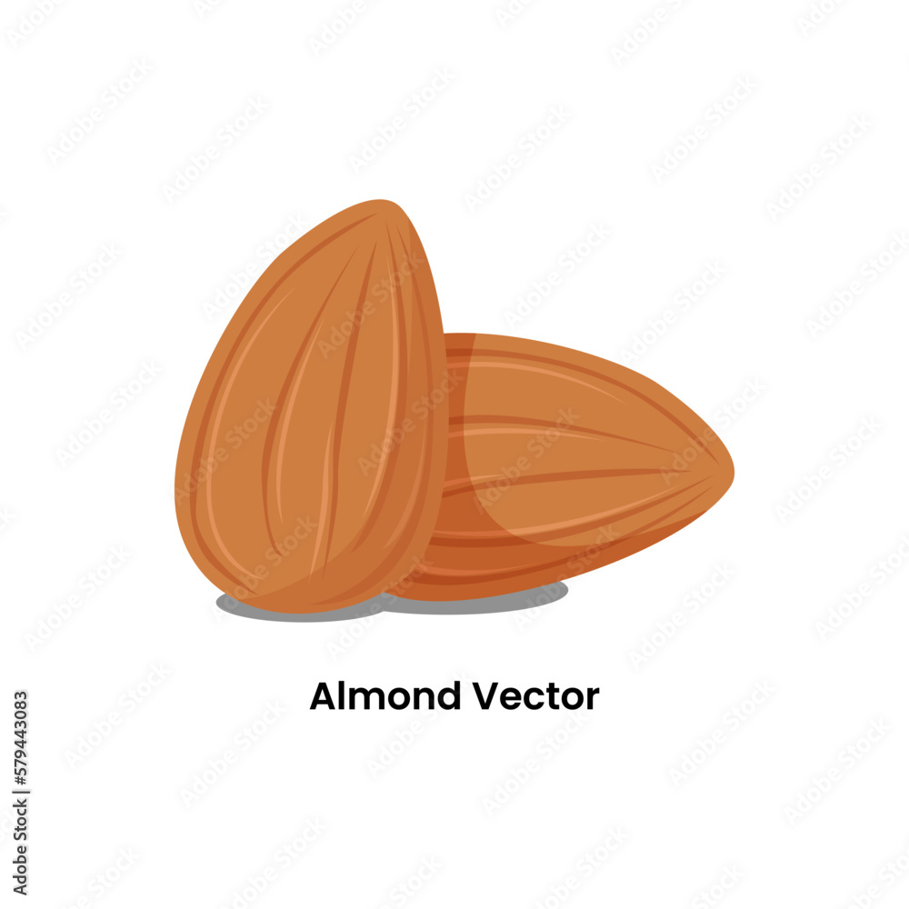 Obraz premium Almonds Dry Fruits Illustration Graphic Design Vector