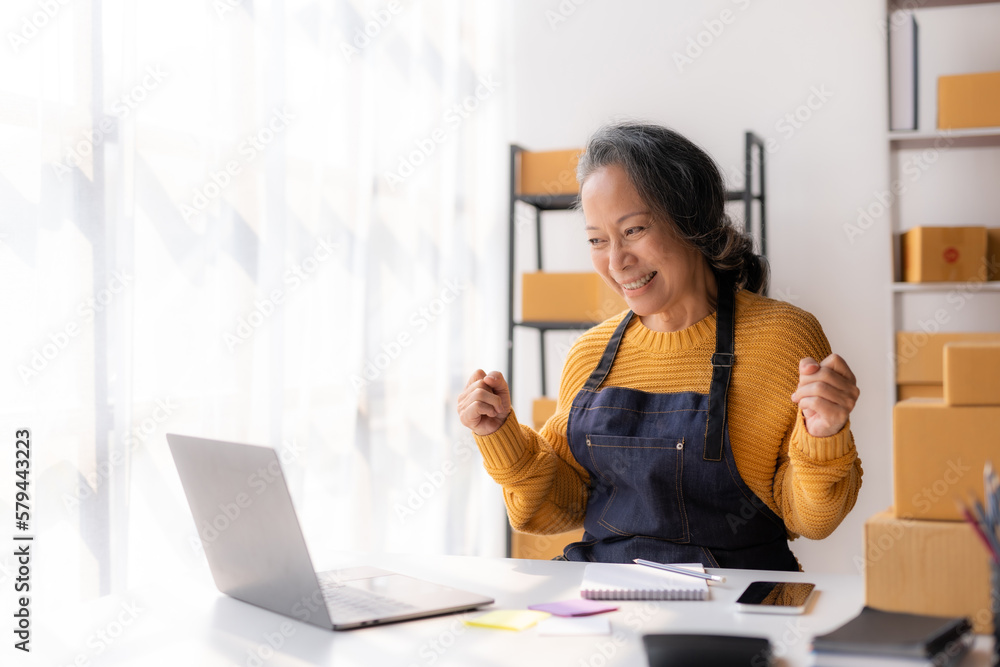 Asian senior female online sale entrepreneur happy, successful and excited, raising fist with laptop Asian senior female online sale entrepreneur happy, successful and excited, raising fist with laptop