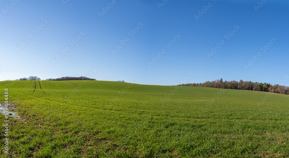 Panorama with a grass hill and blue sky on a sunny day in spring