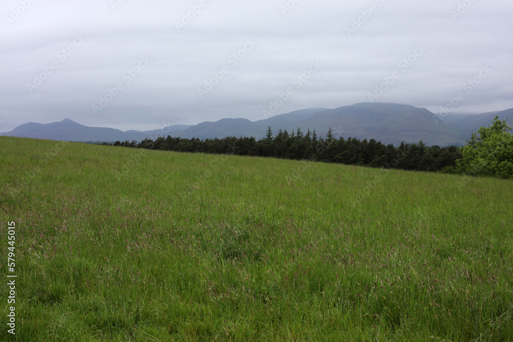 Fototapeta premium View of the countryside from King's seat hilltop - Clackmannan - Stirlingshire - Scotland - UK
